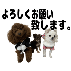 [LINEスタンプ] ヌノペッツ