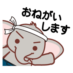 [LINEスタンプ] 御用だゾウくんは今日も走る！の画像（メイン）