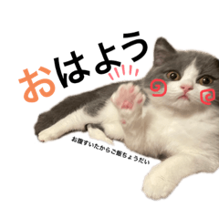 [LINEスタンプ] ほっこりつくねちゃんスタンプ
