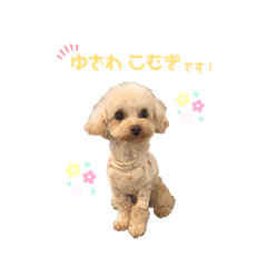 [LINEスタンプ] わが家のこむぎPart4