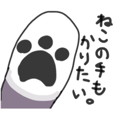 [LINEスタンプ] 生意気白靴下猫