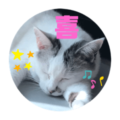 [LINEスタンプ] k.n オリジナル6