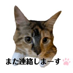 [LINEスタンプ] こばんスタンプ 1