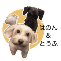 [LINEスタンプ] わんこスタンプ・はのん and とうふ