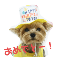 [LINEスタンプ] まるandつぶ