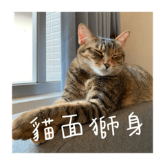 [LINEスタンプ] Neko lulu 5