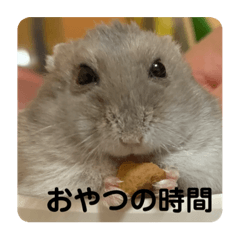 [LINEスタンプ] マロンハムスター