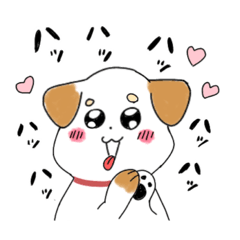 [LINEスタンプ] わんこ時々リアル犬。