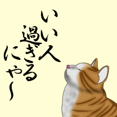 [LINEスタンプ] 褒めるハチワレ猫