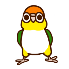 [LINEスタンプ] シロハラインコスタンプ