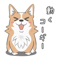 [LINEスタンプ] 動くコーギースタンプ 1st