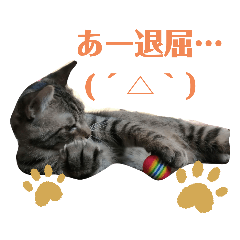 [LINEスタンプ] 愛しのにゃんずスタンプ 3