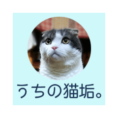 [LINEスタンプ] うちの猫垢。