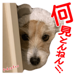 [LINEスタンプ] 関西ジャック Part1