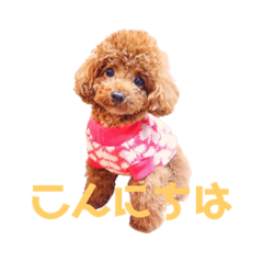 [LINEスタンプ] ミリオ(447)