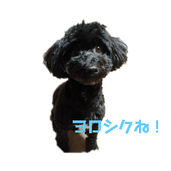 [LINEスタンプ] これでしょ。