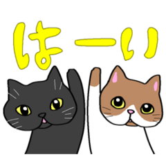 [LINEスタンプ] 2匹の家猫スタンプ