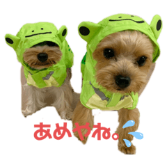 [LINEスタンプ] まるandつぶ②