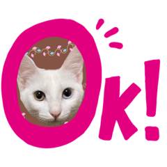 [LINEスタンプ] 仲良しにゃんこといっしよ♬︎♡