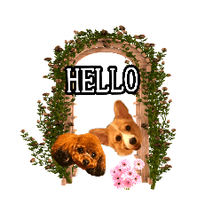 [LINEスタンプ] りんちゃん＋そら
