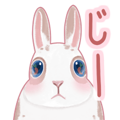 [LINEスタンプ] かつんカプリッチョ