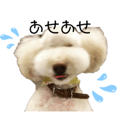 [LINEスタンプ] coco:)