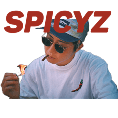 [LINEスタンプ] SPICYZ(1)