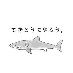 [LINEスタンプ] ゆるく生きるサメ