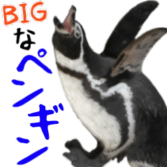 [LINEスタンプ] ほほえみフレンズ！BIGなペンギンの日常生活