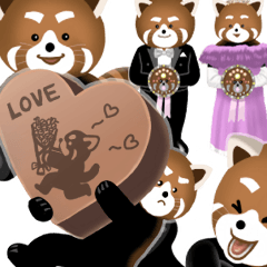 [LINEスタンプ] 愉快なレッサーパンダ