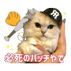 [LINEスタンプ] おともにゃちスタンプ⑪