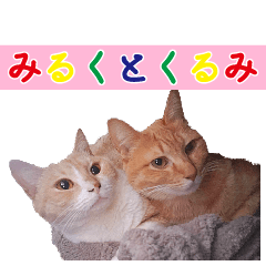[LINEスタンプ] みるくとくるみのスタンプ