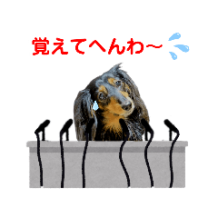 [LINEスタンプ] ミニチュアダックスの気ままなランチ⑬