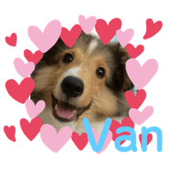 [LINEスタンプ] Vanのファンクラブ