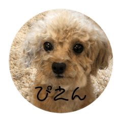 [LINEスタンプ] まはろくん2