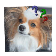 [LINEスタンプ] ちゅもちぃ