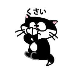 [LINEスタンプ] みにゃんこスタンプ8