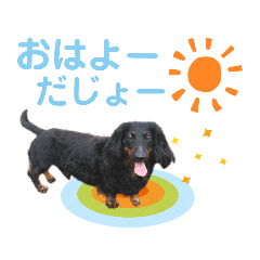 [LINEスタンプ] ミニチュアダックスぽてと だじょ～☆