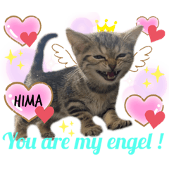 [LINEスタンプ] ひまにゃん8