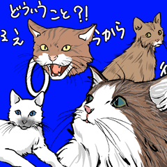 [LINEスタンプ] 元気な猫たち