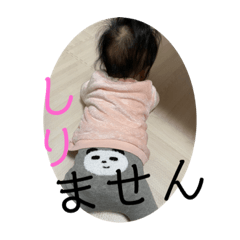 [LINEスタンプ] さーちゃん日常