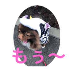 [LINEスタンプ] ポメラニアンのたぬスタンプ2