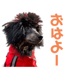 [LINEスタンプ] 4.ププ