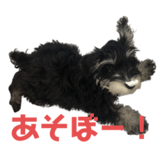 [LINEスタンプ] 1.VIVI