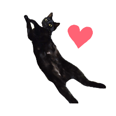 [LINEスタンプ] 黒猫〜ねこちゃん〜