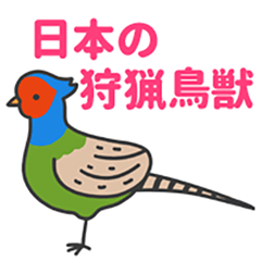 [LINEスタンプ] 日本の狩猟鳥獣の画像（メイン）