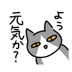 [LINEスタンプ] 少しふてぶてしい灰色ハチワレ猫の画像（メイン）