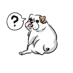 [LINEスタンプ] ブルドッグのポルコ