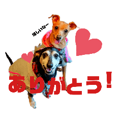 [LINEスタンプ] くうそら Part1