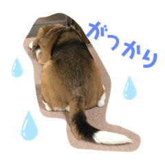 [LINEスタンプ] あいじょん1